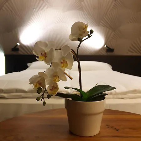 San Carlo Hotel Lugano